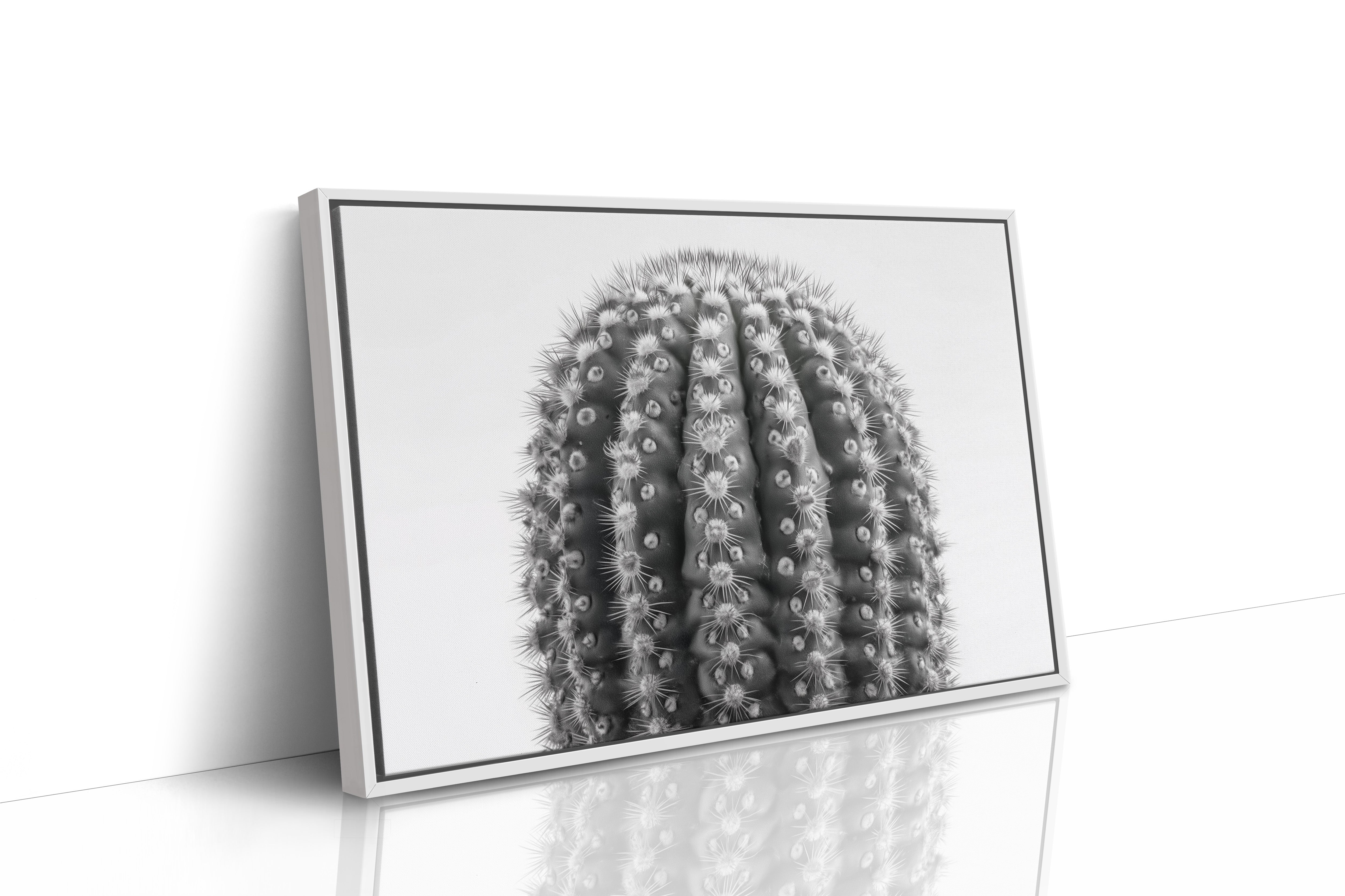 Spines Dance In Silver Light