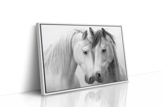 Gentle Souls Share Morning Light