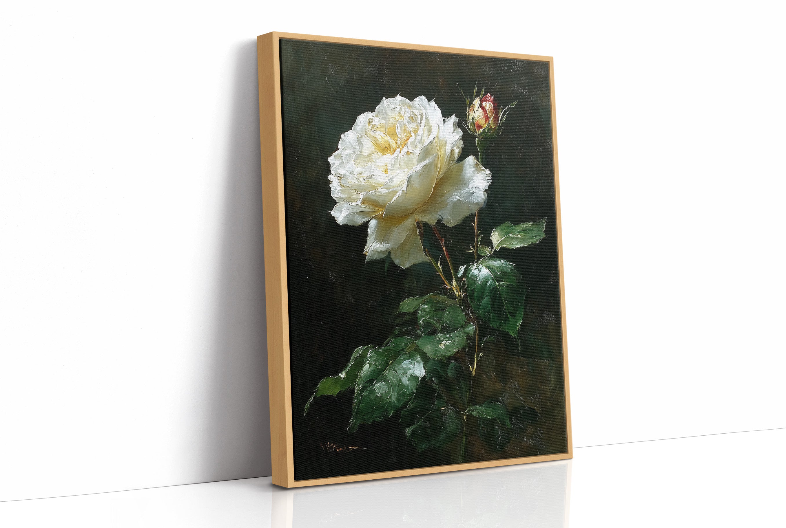 The White Rose Holds Its Light