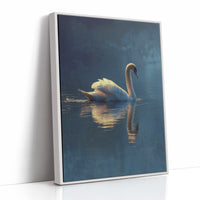 Swan Glides Through Golden Hour