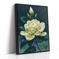 Ivory Bloom in Shadow