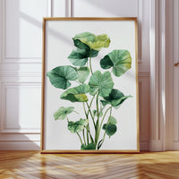 Lotus Leaves Dance In Sunlight