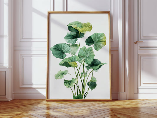 Lotus Leaves Dance In Sunlight