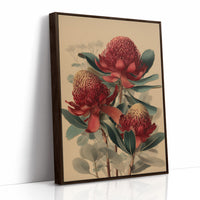 Crimson Waratahs in Bloom