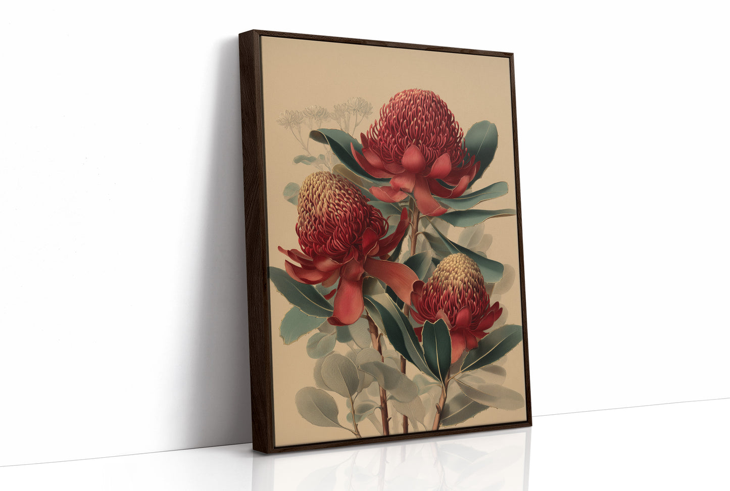 Crimson Waratahs in Bloom
