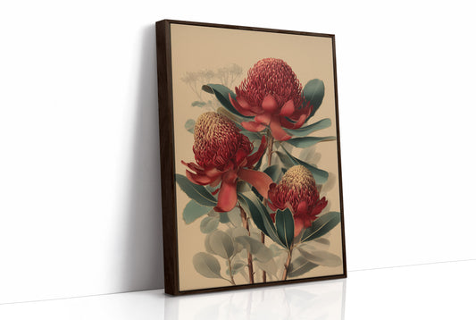 Crimson Waratahs in Bloom