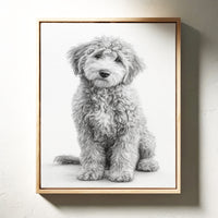 Curly Coat and Kind Eyes