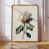 Southern Magnolia In Morning Light