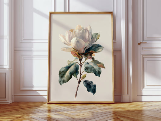 Southern Magnolia In Morning Light