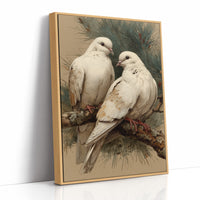 Two White Doves at Rest