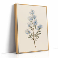 Lilac Blossom On Cream