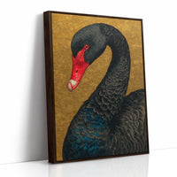 The Black Swan Knows Her Worth