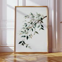 Olive Branches Bend With Grace