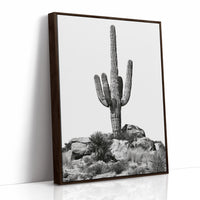 Lone Saguaro Standing Tall