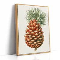 Pinecone Study No. 1