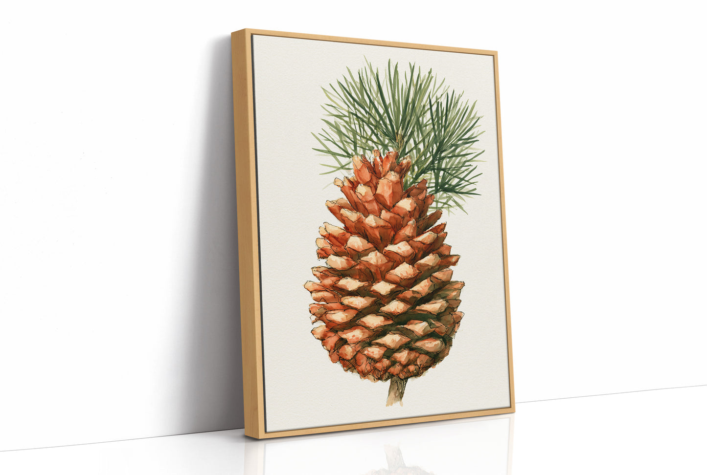 Pinecone Study No. 1