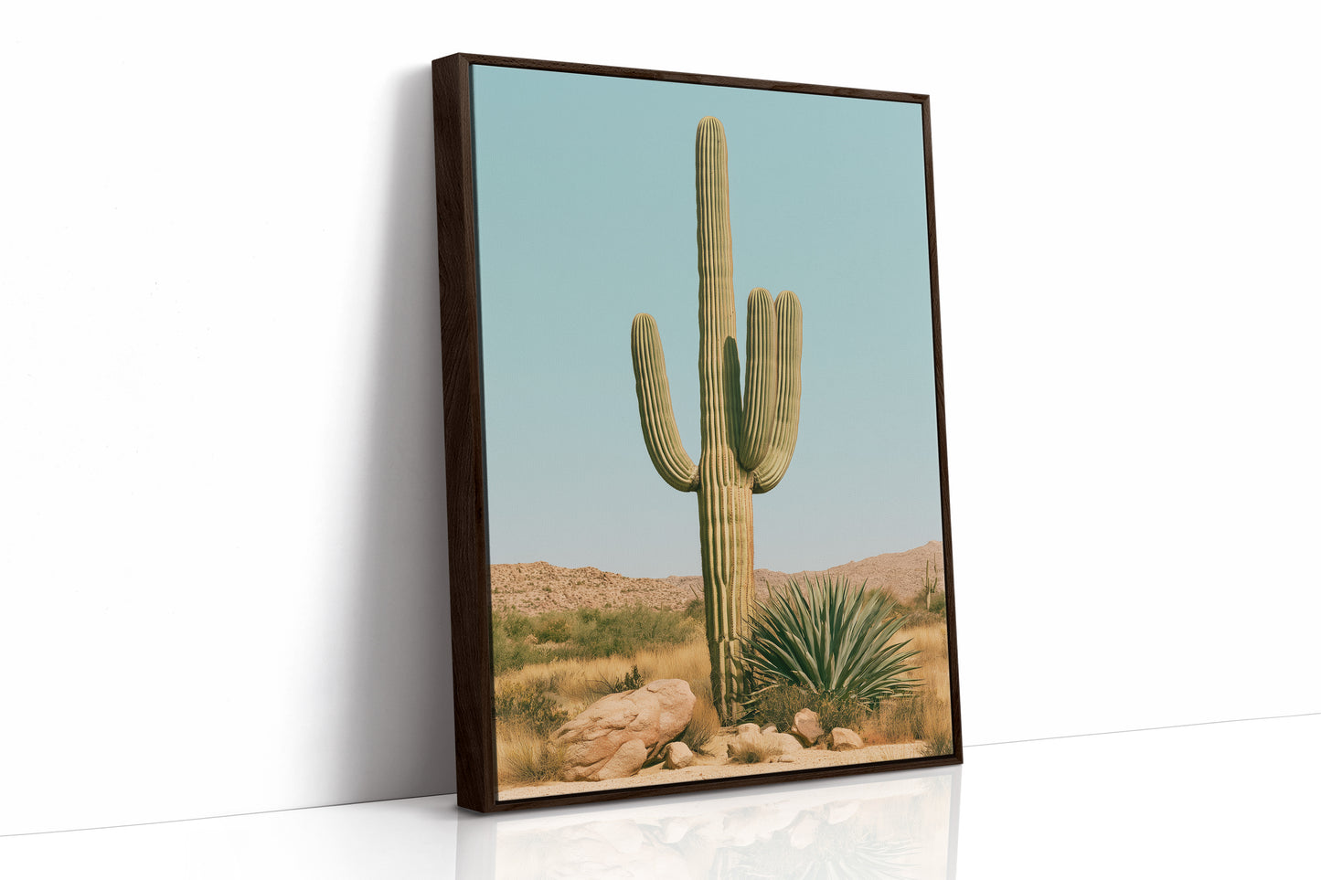 Saguaro Under Turquoise Sky