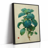 Basil Leaves Dance In Morning Light