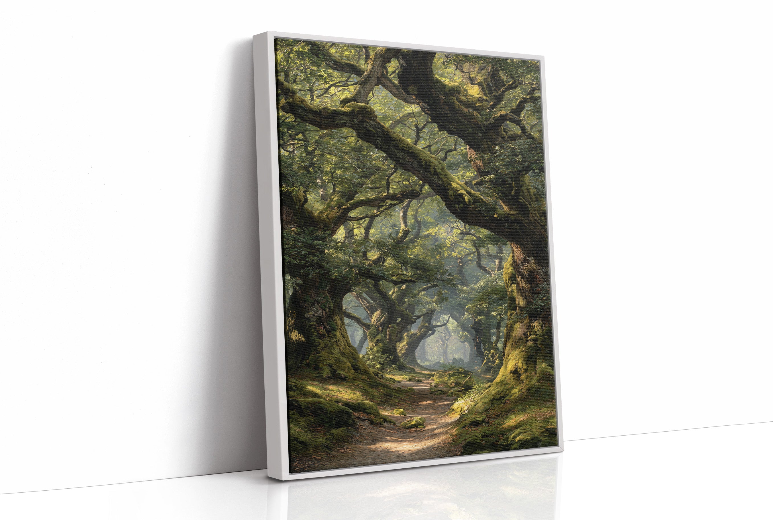 Ancient Oaks Guard Silent Passage