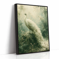 White Peacock in the Mist