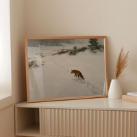 Fox Tracks Through Winter's Canvas