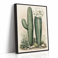 Blooming Saguaro: A Desert Garden Study