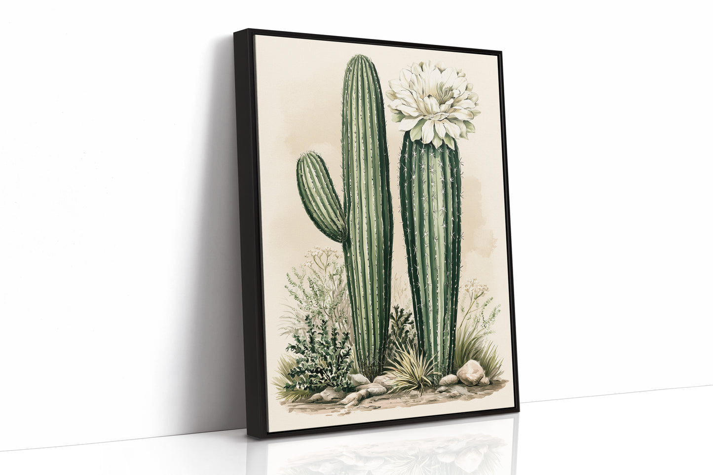Blooming Saguaro: A Desert Garden Study