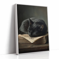 Midnight Scholar Takes Pause