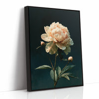 Ivory Peony, Dutch Master Mood