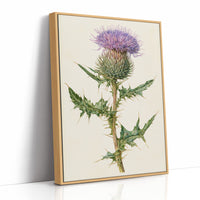 Purple Thistle In Fine Detail