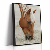 Quiet Morning Graze with Golden Mane