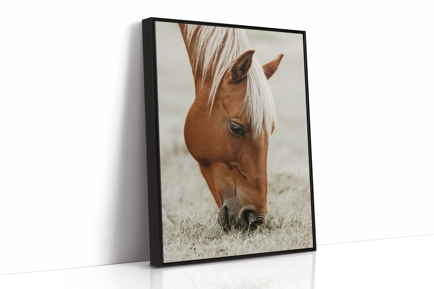 Quiet Morning Graze with Golden Mane