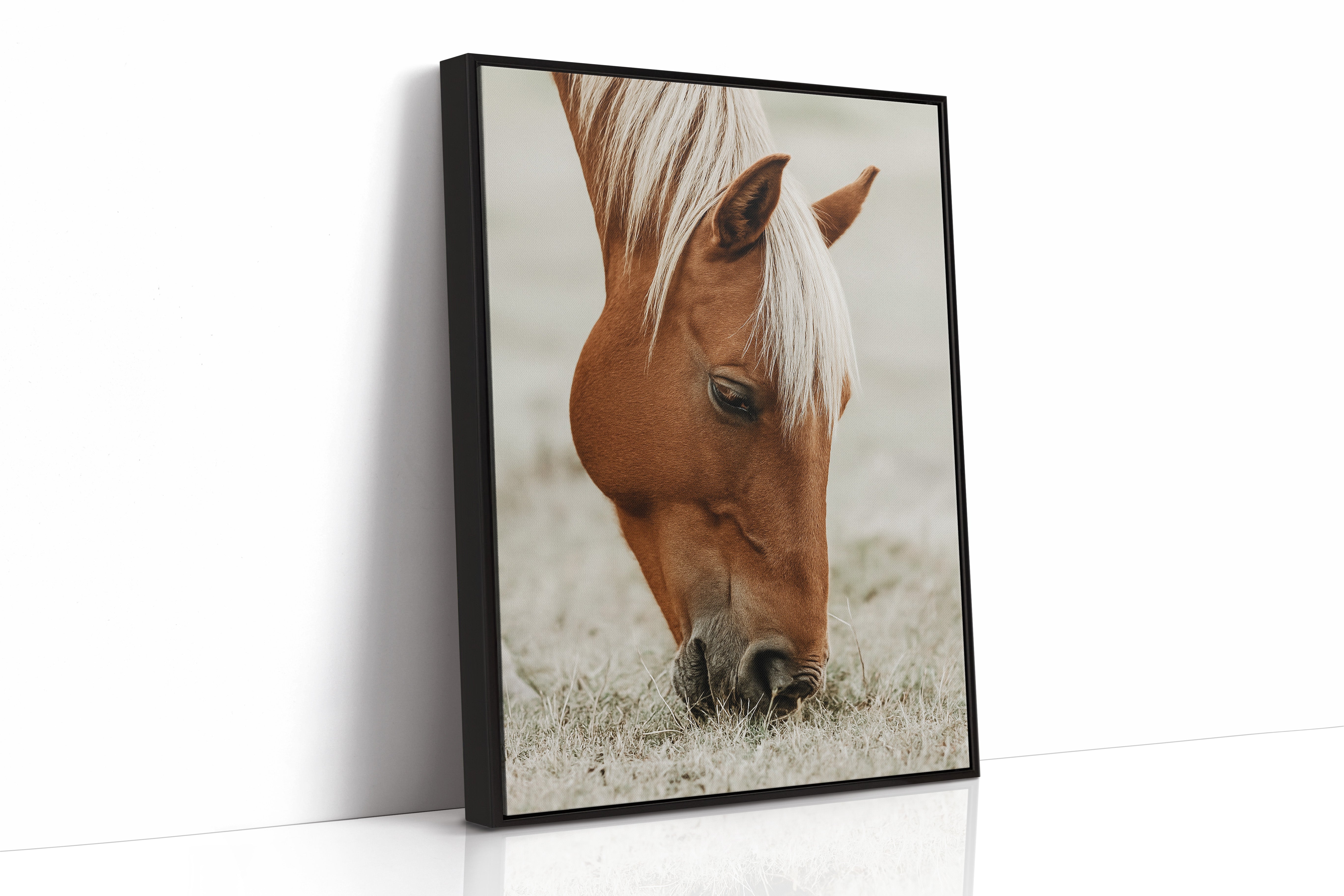 Quiet Morning Graze with Golden Mane