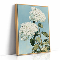 White Hydrangea Sky Bloom