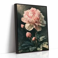 Peony Caught in Corner Light
