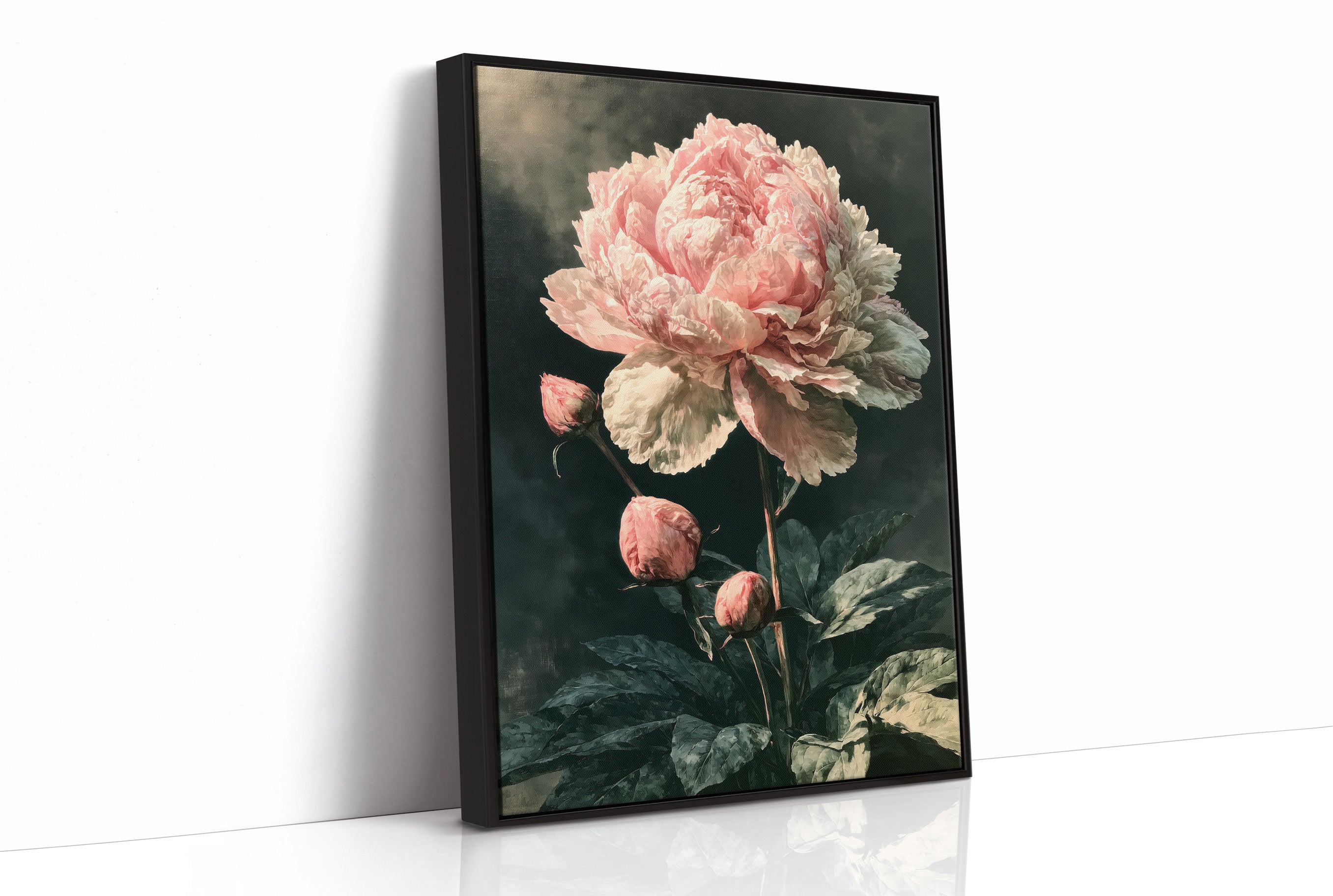 Peony Caught in Corner Light