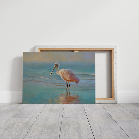 Spoonbill Wades Through Turquoise Stillness