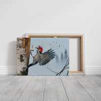 Woodpecker in Mid-Strike