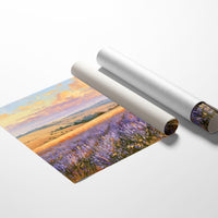 Lavender Fields, Golden Hour