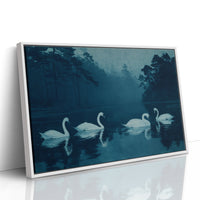 Swans Beneath the Midnight Mist