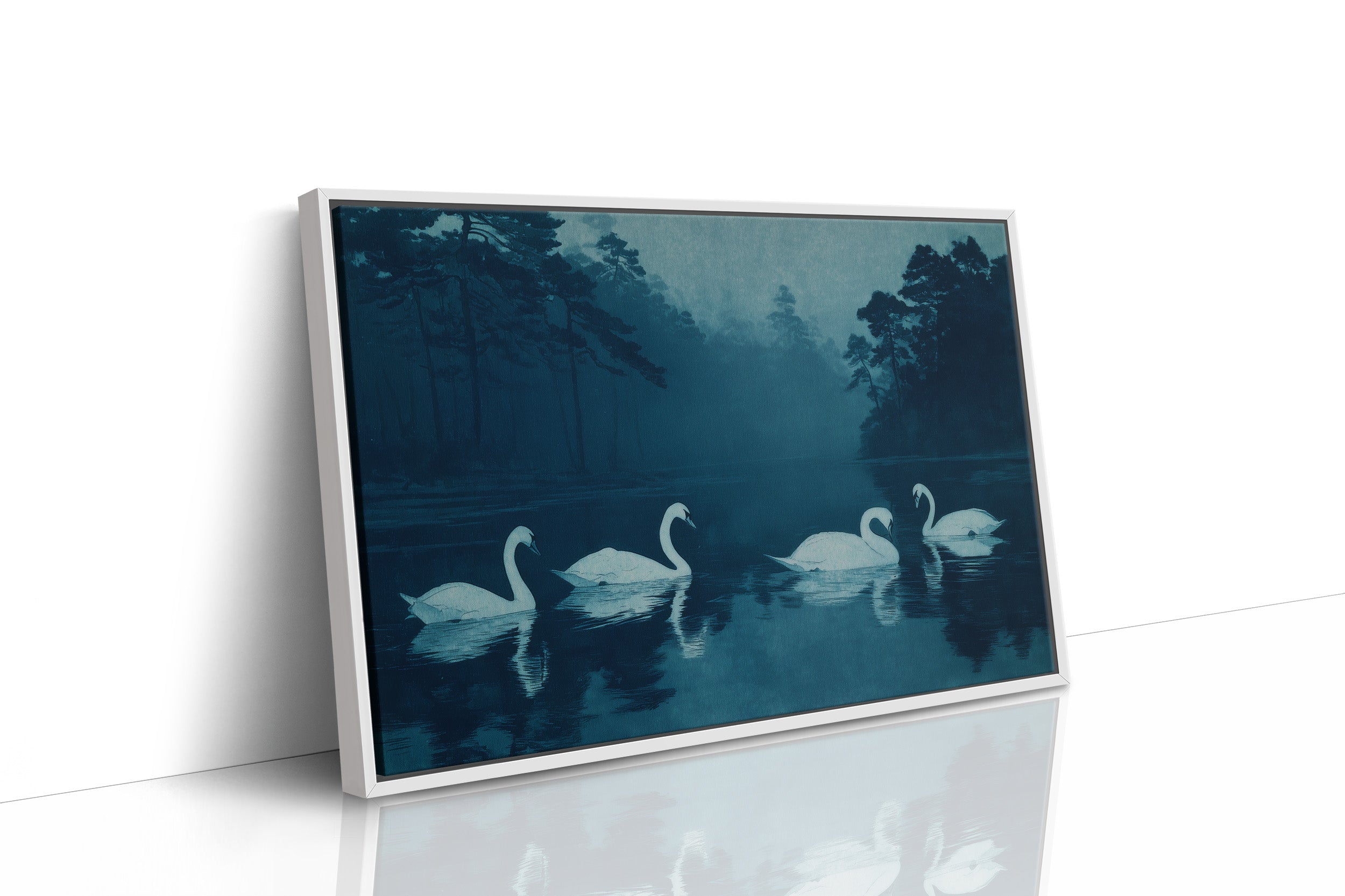 Swans Beneath the Midnight Mist