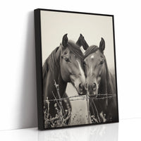 Close Companions at the Fence Line