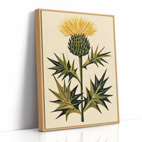 Golden Thistle in Bloom