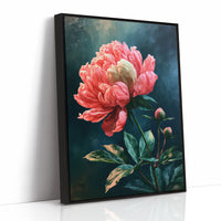 Coral Peony Against Midnight Blue