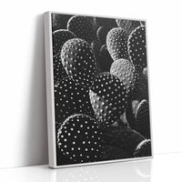 Desert Geometry in Monochrome