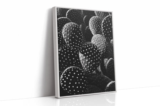 Desert Geometry in Monochrome
