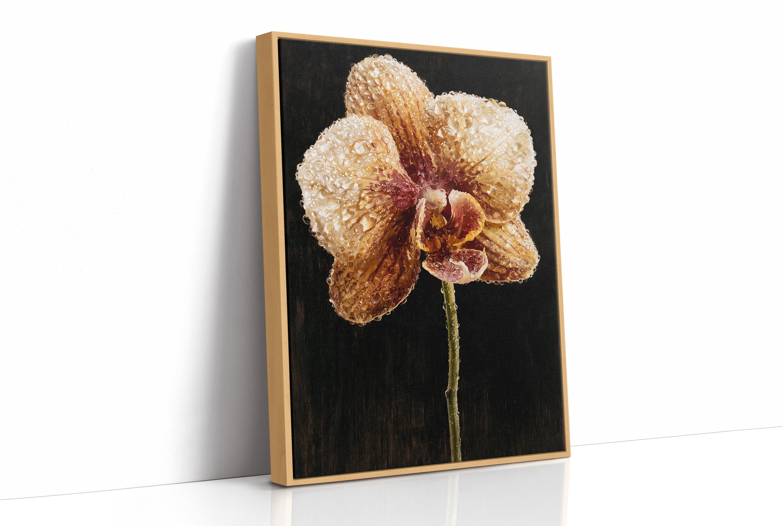 Orchid Stem in the Dark