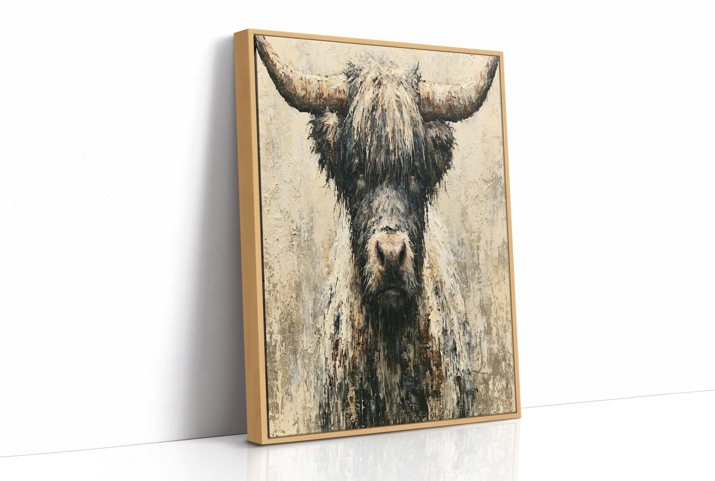 Highland Cow Up Close