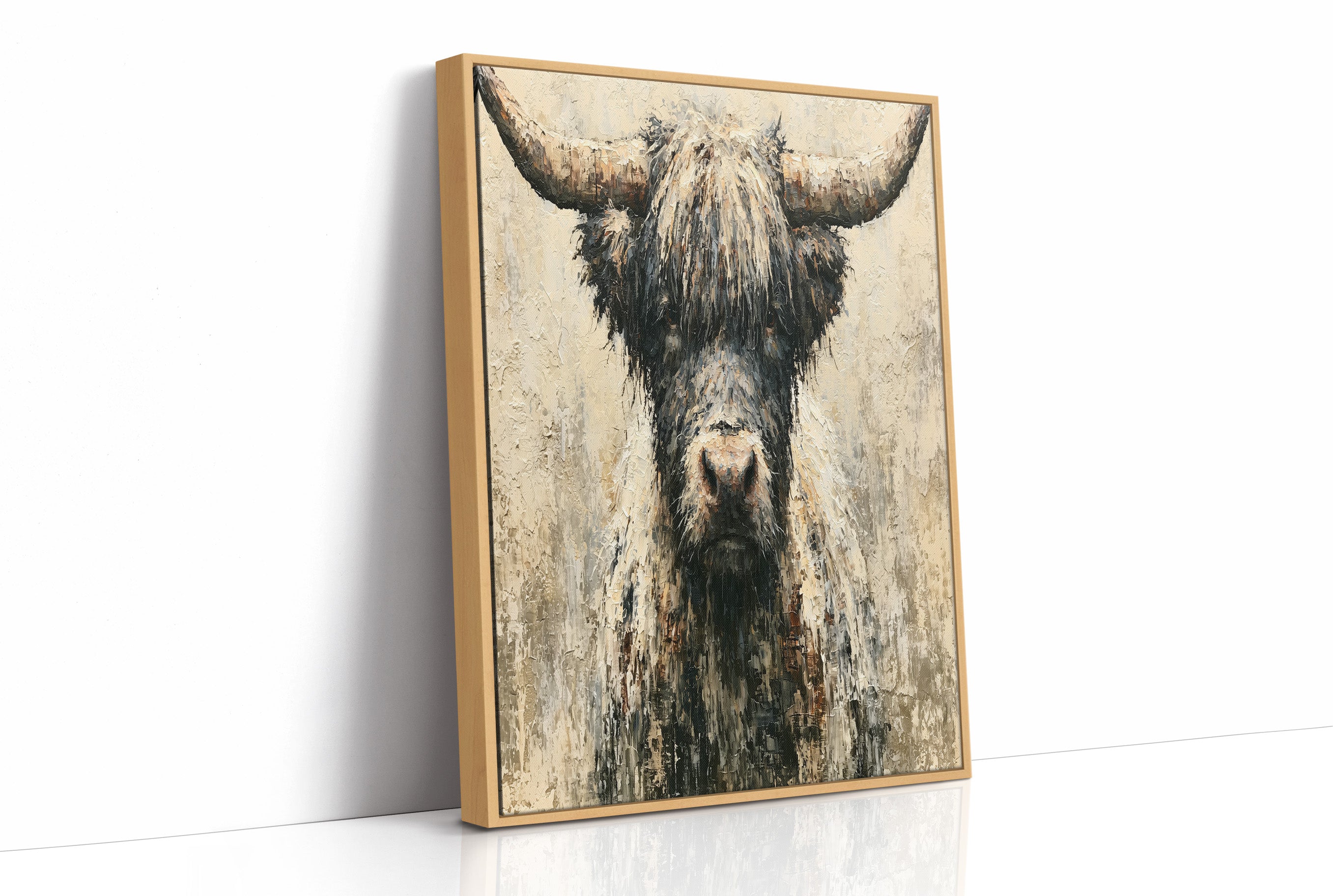 Highland Cow Up Close