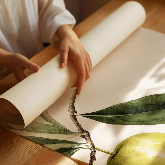 And the Olive: A Tale of Ancient Harvest